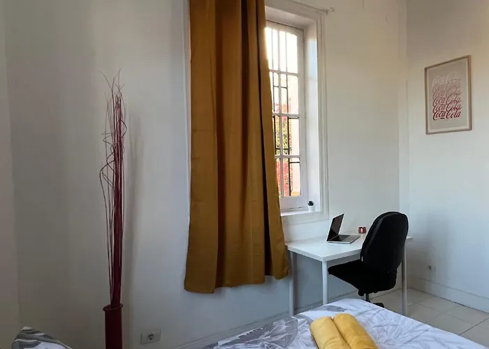 Coliving Brasil 招待所 大加那利岛拉斯帕尔马斯