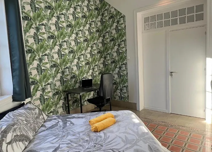 Coliving Brasil 大加那利岛拉斯帕尔马斯