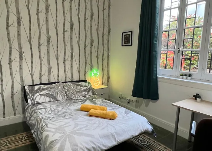 Гостьовий будинок Coliving Brasil